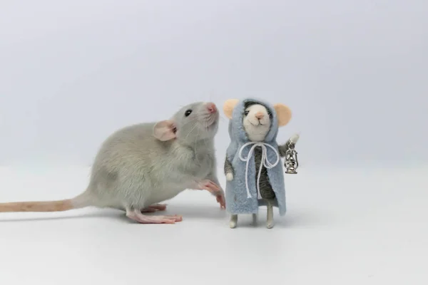 Rat Gris Côté Jouet Forme Rat Peluche — Photo