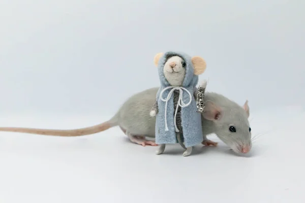 Egy Szürke Patkány Egy Játék Mellett Plüss Patkány Formájában — Stock Fotó