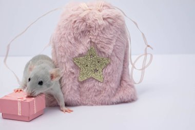 Gri dekoratif bir fare pembe bir kürk torbası ve hediye kutusunun yanında oturuyor.