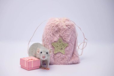 Gri dekoratif bir fare pembe bir kürk torbası ve hediye kutusunun yanında oturuyor.