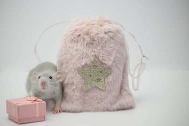 Gri dekoratif bir fare pembe bir kürk torbası ve hediye kutusunun yanında oturuyor.