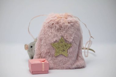 Gri dekoratif bir fare pembe bir kürk torbasına saklandı. Fare burnunu uzattı ve burnunu çekti.