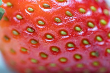 Lezzetli bir gözlemenin üzerinde olgun sulu çilekler ve yabanmersini bulunur. Rus mutfağı ulusal yemekler taze böğürtlenlerle bulanık