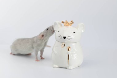 Süslü, gri, sevimli bir fare, kraliyet tacını takan fare şeklinde porselen bir heykelin yanında duruyor.