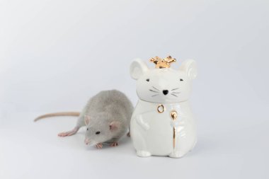 Süslü, gri, sevimli bir fare, kraliyet tacını takan fare şeklinde porselen bir heykelin yanında duruyor.