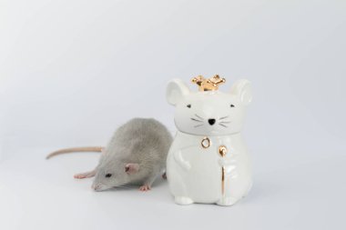 Süslü, gri, sevimli bir fare, kraliyet tacını takan fare şeklinde porselen bir heykelin yanında duruyor.