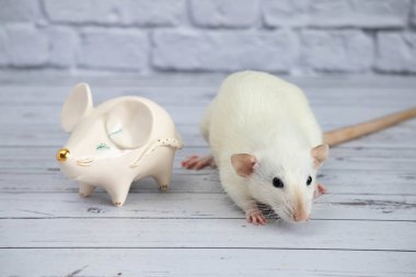 Süslü, komik, sevimli bir fare, altın burunlu bir fare şeklinde porselen bir heykelin yanında duruyor.