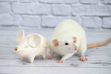 Süslü, komik, sevimli bir fare, altın burunlu bir fare şeklinde porselen bir heykelin yanında duruyor.