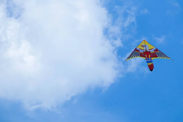Mavi gökyüzü ve beyaz bulutlu uçurtma. Gökyüzündeki kuş.