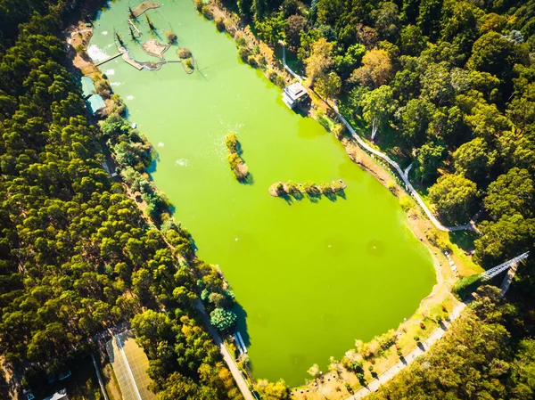 Vista Aérea Hasta Lago Verde Con Naturaleza Verde Alrededor Parque —  Fotos de Stock
