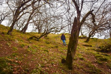 Kadın, el değmemiş sonbahar tabiatıyla çevrili tepeden aşağı tek başına yürür. Kafkasya 'da yalnız macera. Berdiki (Poladauri) kale yürüyüş rotası.