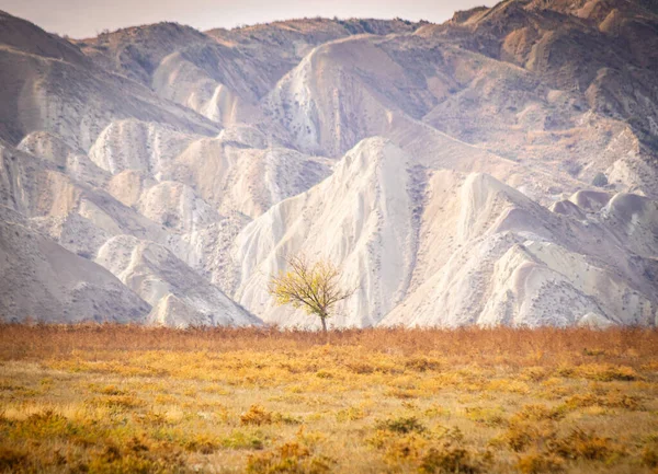 Osamělý Podzimní Strom Ohromující Skalní Formací Pozadí Cestovní Cíl Georgii — Stock fotografie