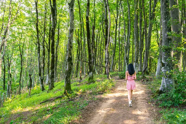 Jonge Aantrekkelijke Vrouw Wandelingen Het Pad Sataplia Natuurgebied Toeristische Bezienswaardigheden — Stockfoto