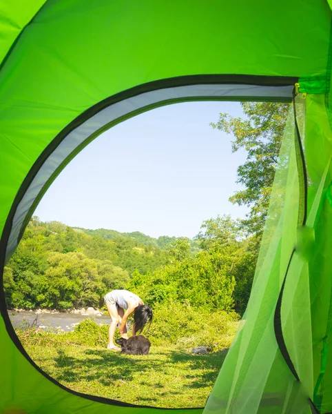 Green Tent View Woman Playing Dog Pet Surounded Green Nature — Stock Photo, Image