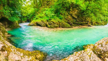 Muhteşem Martvili Vadisi manzaralı sakin bir nehir. Georgia turistik gezileri