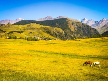 Tusheti 'nin üst omalo köyü manzaralı. Atlar çok güzel.