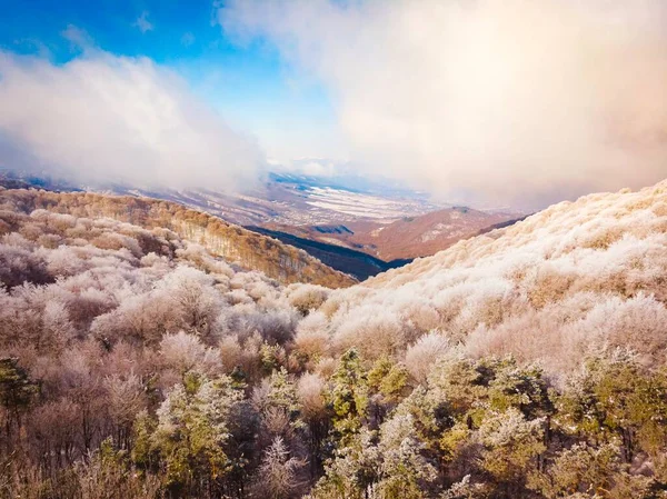 Hava manzaralı karlar Kafkasya dağlarını eritiyor. Georgia Sabaduri Ormanı 'nda. Muhteşem kış manzarası Georgia arka planı