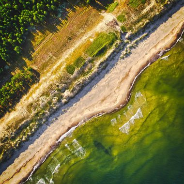 Hava manzaralı Baltık Denizi Curonian Spit Doğa, UNESCO Dünya Mirası. Doğal güzellik Litvanya