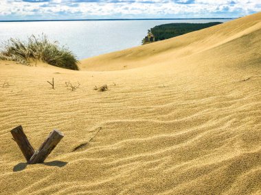 Curonian Tükürüğündeki koruyucu yapılar kum tepelerinin hareketine karşı. Curonian salyası, Litvanya