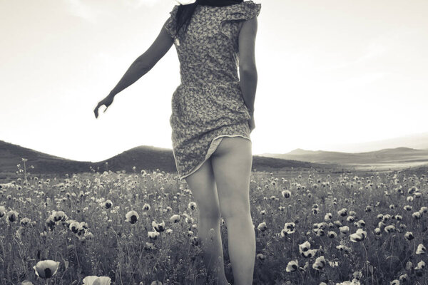Girl in motion in poppy field with uncovered ass by wind breeze. Monochrome vintage copy paste background.