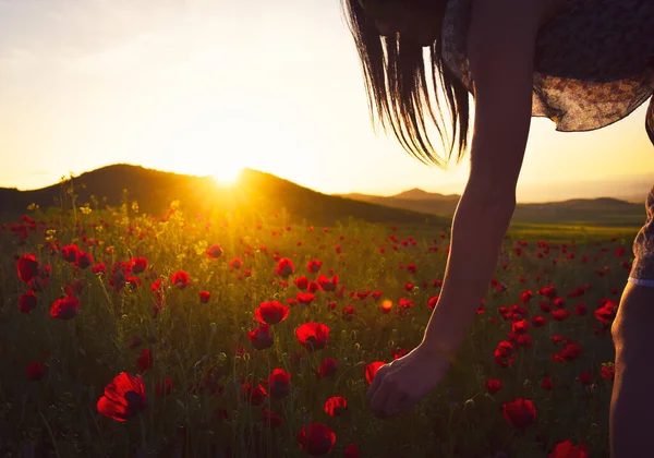 Young Caucasian Woman Picking Flowers Summer Evening Cinematic Summer Glow — Stockfoto