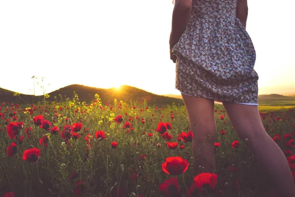 セクシーな女性で花のドレス立っていますでポピーフィールド屋外見てへロマンチックな夕日とともに空白のスペースクリア空の背景 — ストック写真