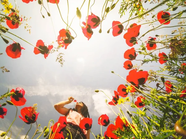 白人の若い女性は屋外で幸せな夏のフィールドで顔に近いケシの花を保持します 自然の中での自由と夏の喜び — ストック写真