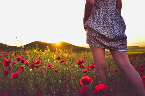 Sexy Frau Blumenkleid Steht Mohnfeld Freien Blick Auf Romantischen Sonnenuntergang — Stockfoto