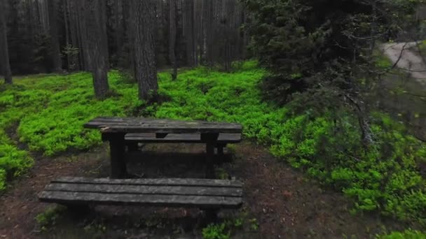 Litvanya Kırsalında Piknik Masası Olan Yeşil Bir Orman Doğu Litvanya — Stok video