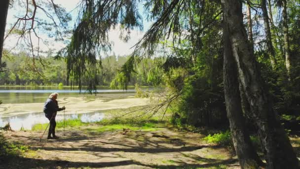 Mulher Idosa Caminha Com Paus Nórdicos Junto Lago Apenas Floresta — Vídeo de Stock