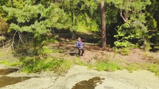 Flygfoto Zooma Äldre Blond Kaukasisk Kvinna Står Håller Nordiska Promenadpinnar — Stockvideo