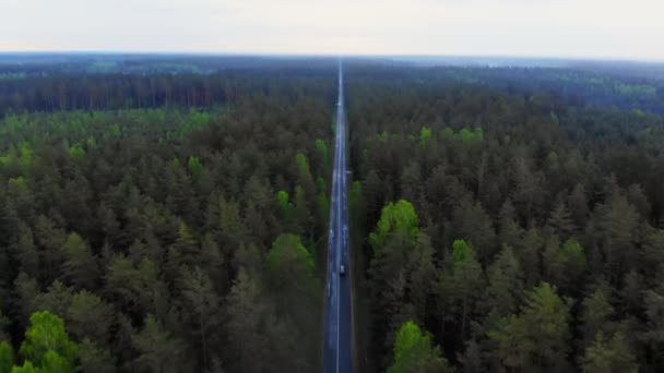 Hava Perspektifinden Siyah Araba Sürüşü Litvanya Kırsal Yolunda — Stok video