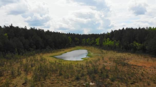 上昇ドローンビュークルトゥヴェナイ地方公園 リトアニアの田舎の自然と植物でNiauka湖 — ストック動画