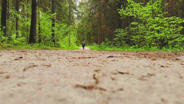 Niedriger Winkel Statische Rückansicht Kaukasischen Älteren Blonden Frau Übung Wandern — Stockvideo