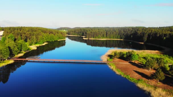 Vue Aérienne Statique Panorama Pittoresque Campagne Lituanienne Avec Lac Paplovinis — Video