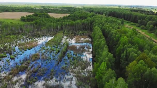 Flygfoto Efter Regn Översvämmade Fält Skogen Vattnet Litauen Ovanligt Väderbegrepp — Stockvideo