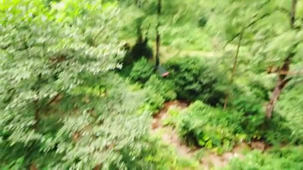 Зип Подкладка Открытом Воздухе Зеленом Лесу Первого Лица Точки Зрения — стоковое видео