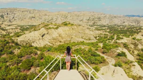 若い女性に戻るビューでは 地平線の景色の山々との観点に立って見て 美しい岩の多いジョージアの風景との距離に自然の中で女性の視線 Vashlovani国立公園で屋外の旅行先をお楽しみください — ストック動画