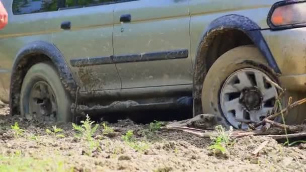 Manzarayı Kapat Çamurda Dönen 4Wd Çekişli Tekerlekler Dışarıdaki Macera Turuna — Stok video