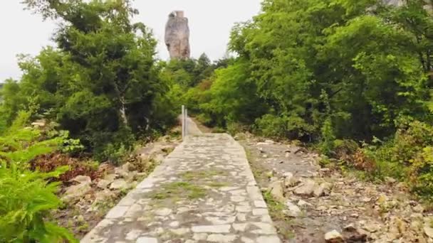 Pohled Osoba Kráčející Stromě Lemované Avenue Stone Rock Pathway Koncept — Stock video