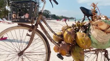 Doğal ürünler, Zanzibar plaj palmiyeleri ve Hint Okyanusu tropikal yaşam alanı yakınlarındaki klasik bisiklette asılı taze hindistan cevizi üretir.