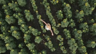 Hava manzaralı, beyaz elbiseli ve şapkalı mutlu kadın gün batımında kolları açık ayçiçeği sıralarının arasında duruyor. Refahı ve yaz özgürlüğü kırsal yaşam tarzını kavrayın