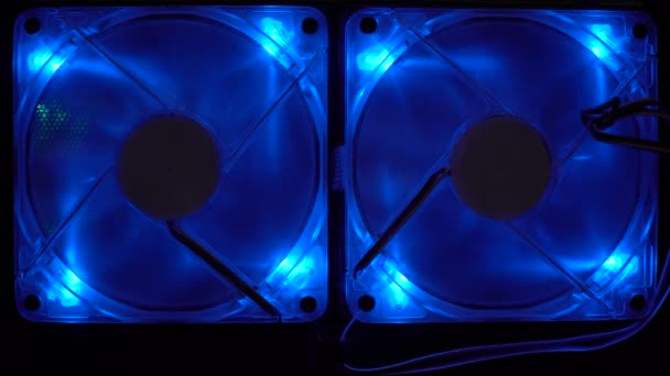 Two 120Mm Fans Blue Illumination Steel Wall Case Fans Cool — Stock Video