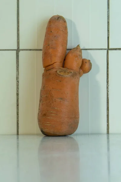 Weird carrot as human hand on the white table in the rustic kitchen. Natural vegetables is good for diet because it contains a lot of vitamins and microelements. Light key, vertical orientation image