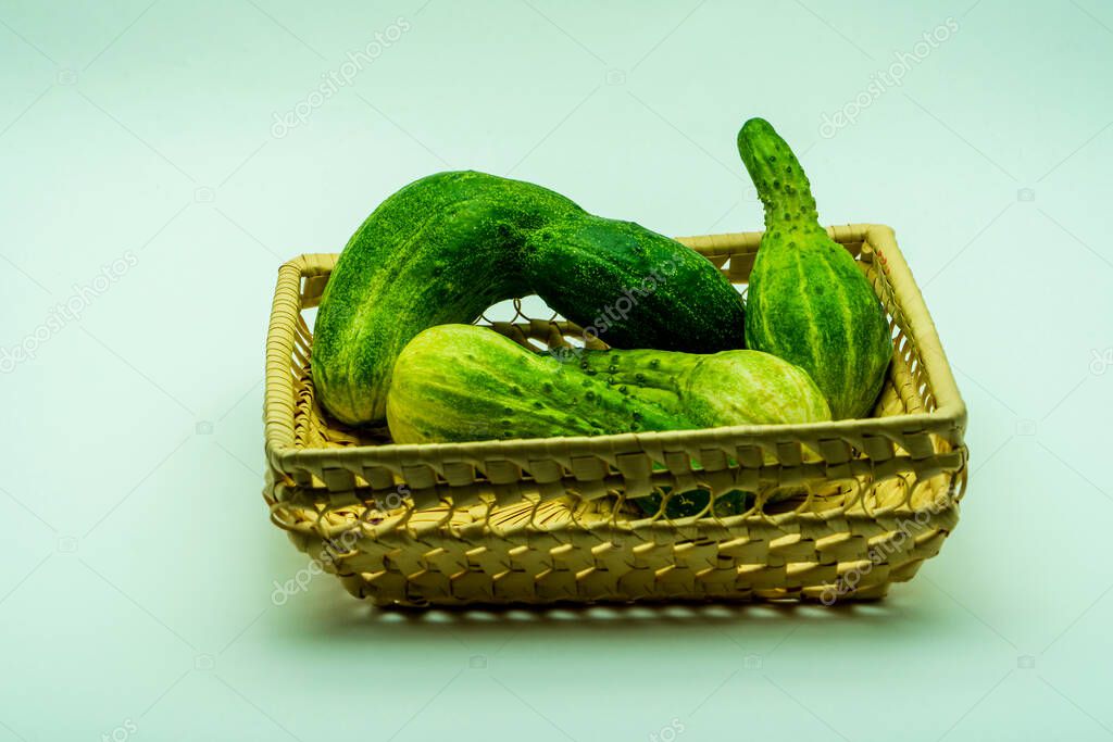 Three misshapen cucumbers lying in the wicker basket on the white background. Organic vegetables good for diet, because contains many vitamins and microelements. Close up light key photo.