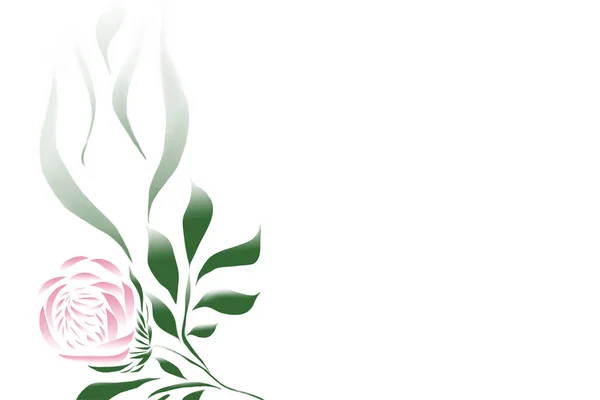 Beyaz arka planda şakayık boyası