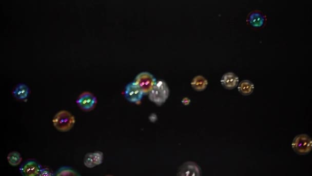 Soap bubbles on black — Stock Video