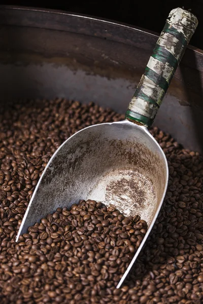 Shovel collecting coffee beans — Stock Photo, Image