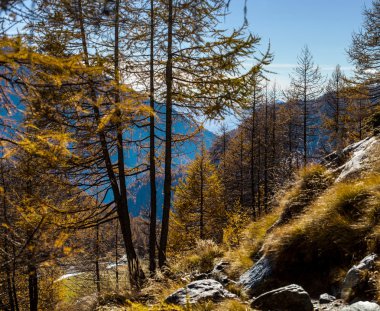 Aosta Vadisi 2 sonbahar manzara