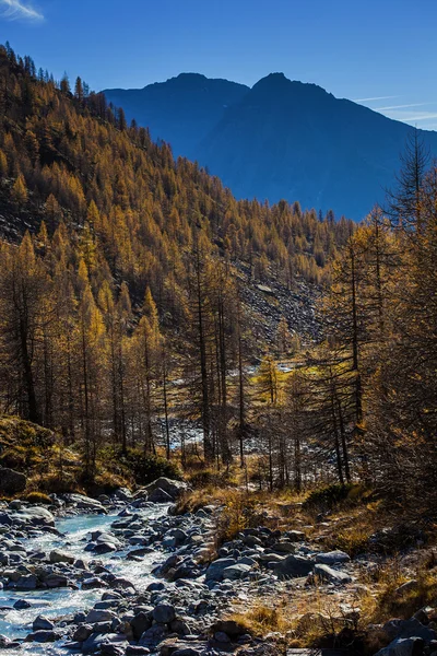 Paysage d'automne dans la Vallée d'Aoste 3 — Photo